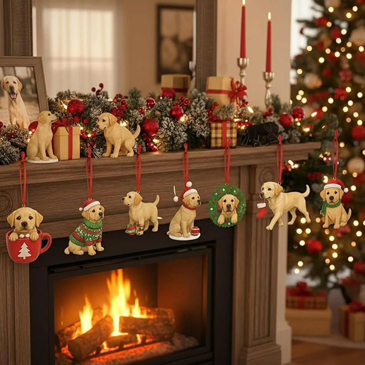 Labrador™ | Calendario de Adviento 2025