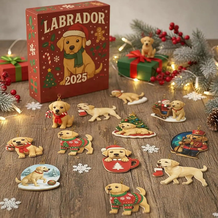 Labrador™ | Calendario de Adviento 2025