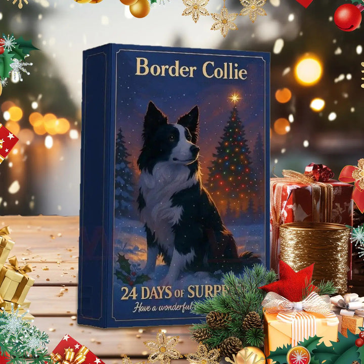 Border Collie™ | Calendario de Adviento 2025