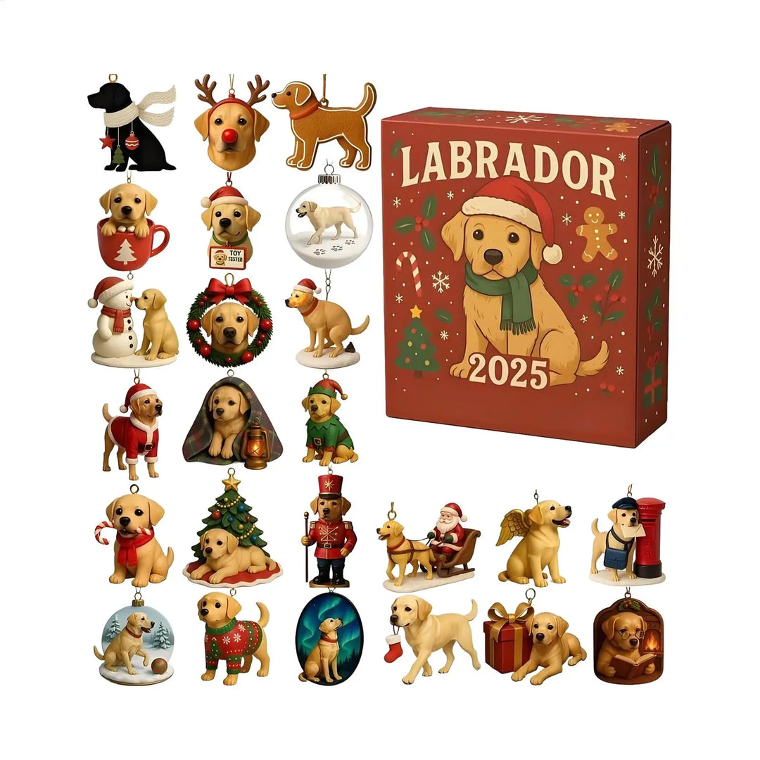 Labrador™ | Calendario de Adviento 2025